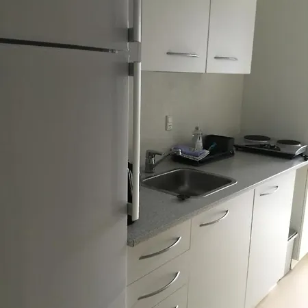 Rebslagerhuset Apartament